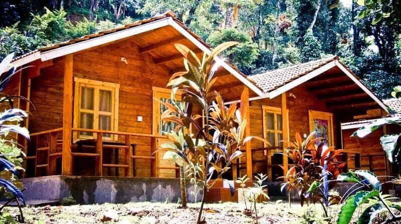 Mist Wooden Cottage, Madikeri 3